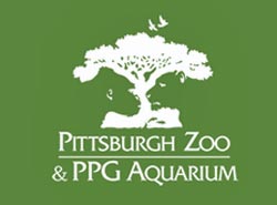Pittsburgh Summer Camps